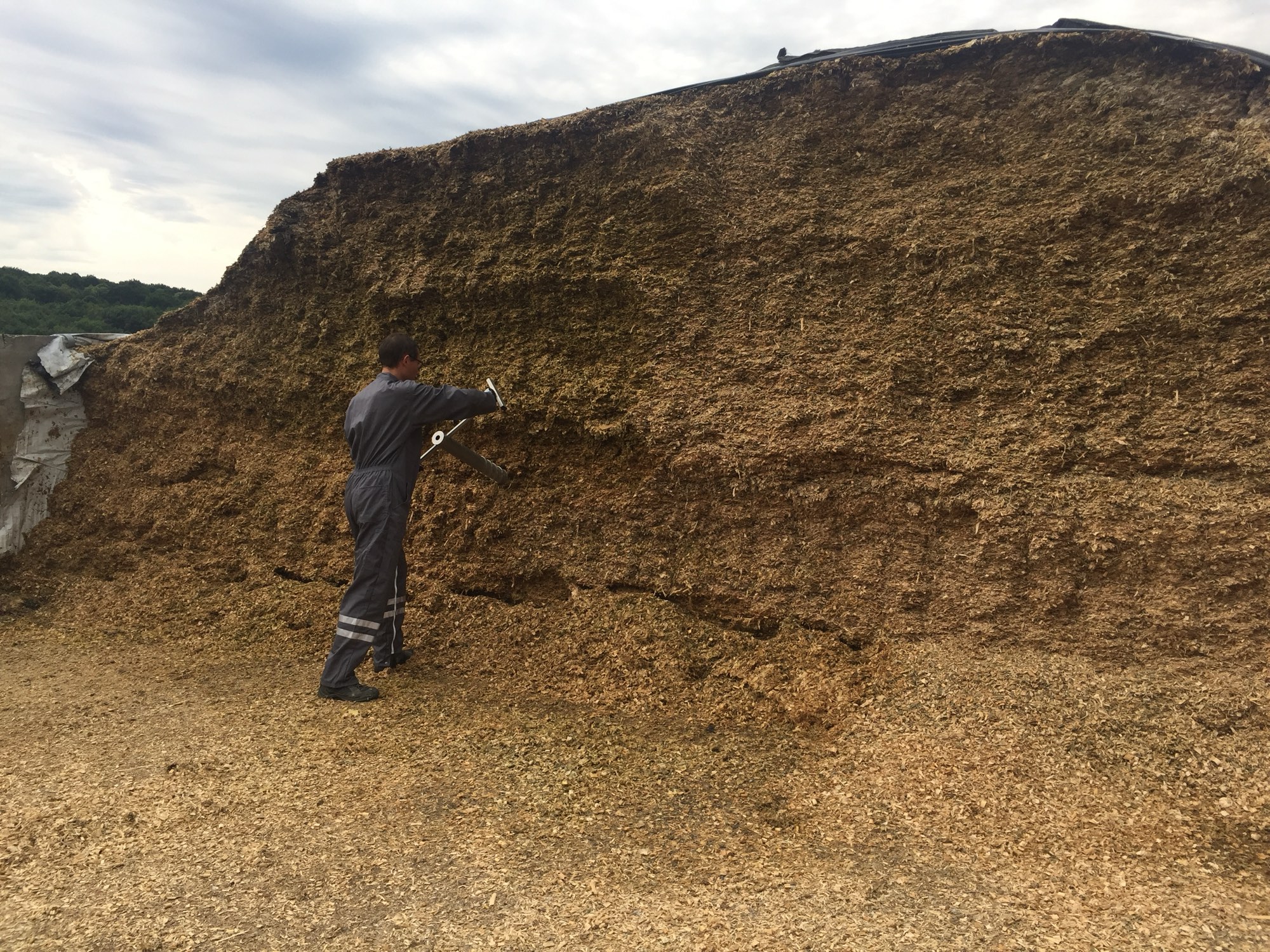 Mesure au front d'attaque d'un silo d'ensilage de maïs